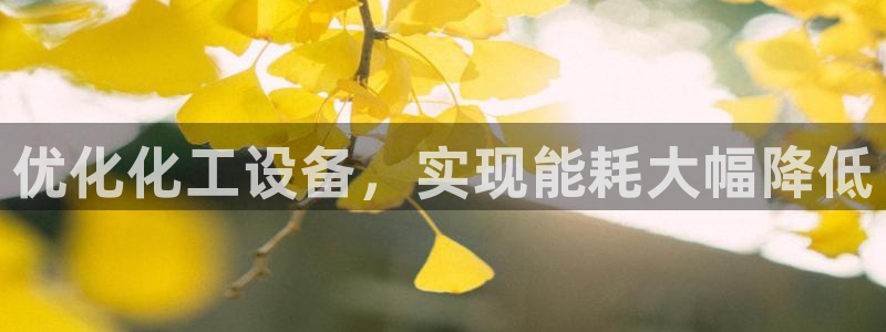 新宝gg平台—创造奇迹登录