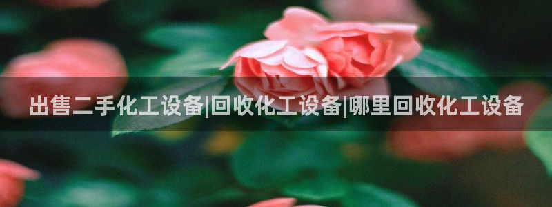 新宝gg一创造奇迹登