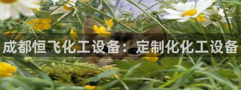 新宝gg注册账号