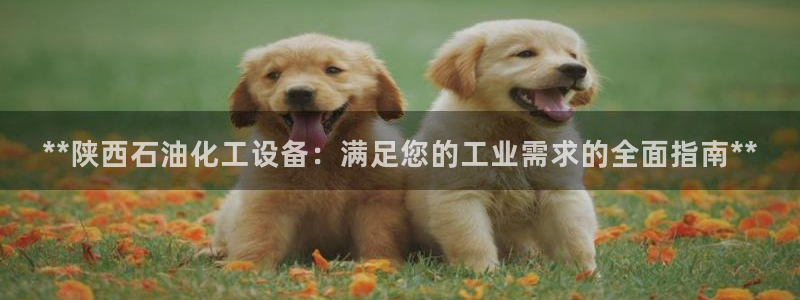 新宝gg注册平台