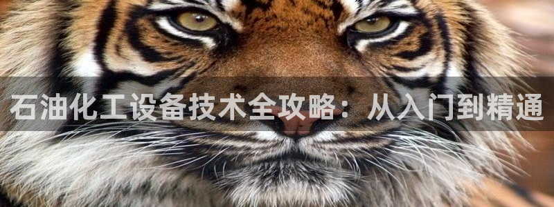 新宝gg一创造奇迹代理测速