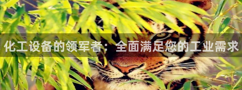 新宝gg注册登录账号