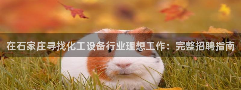 新宝gg平台