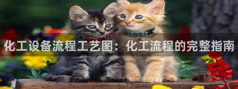 新宝gg创造奇迹登录注册入口