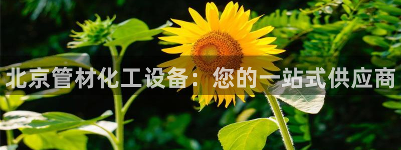 新宝gg—创造奇迹登录注册