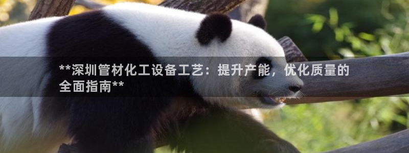 新宝GG平台负责人