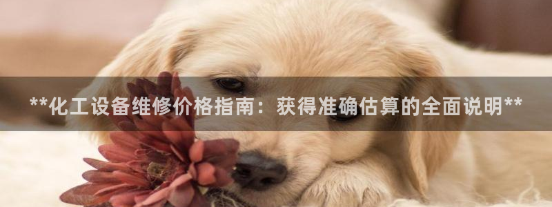 新宝gg–创造奇迹