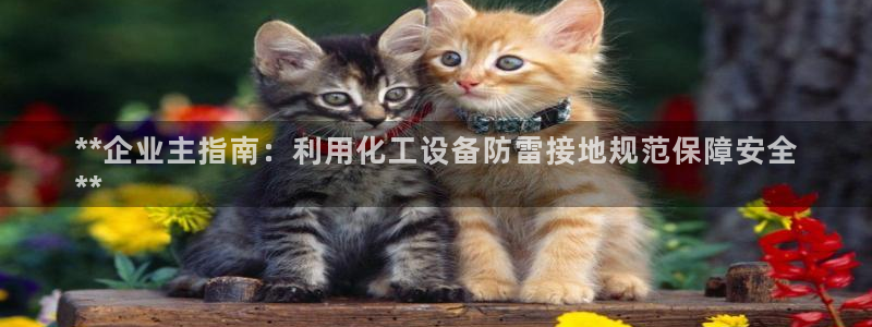 新宝gg创奇迹登录注册