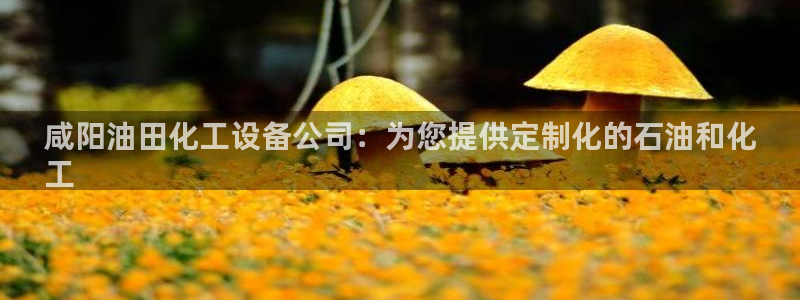新宝GG平台电话