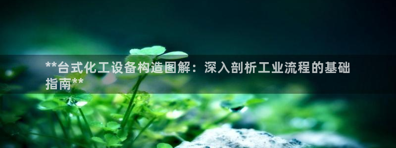 新宝gg手机版登录官网