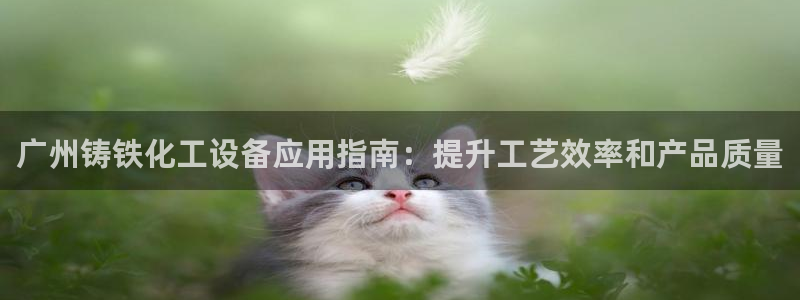 新宝gg登录不上去了