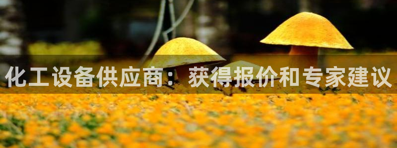 新宝gg—创造奇迹官网