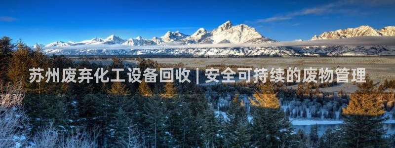 新宝gg一键登录