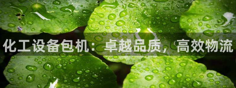 新宝gg―创造奇迹登录平台