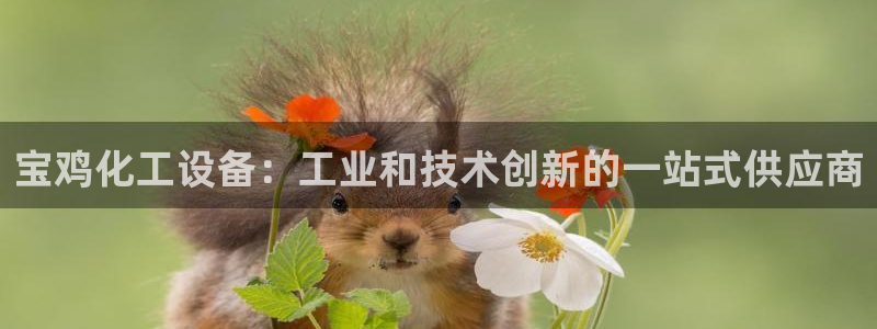 新宝GG创造奇迹客服怎么联系