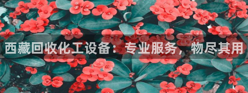 新宝gg平台—创造奇迹登录首页