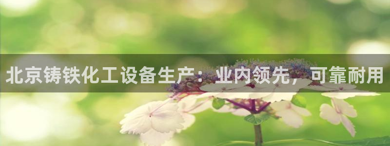 新宝gg—创造奇迹登录官网
