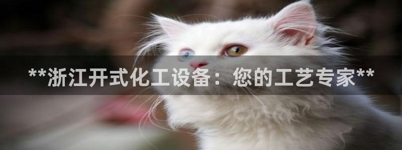 新宝GG创造奇迹客服怎么联系