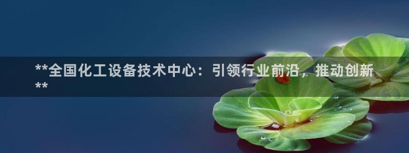 新宝gg平台注册登录指南