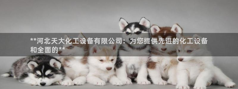 新宝gg平台登录手机版