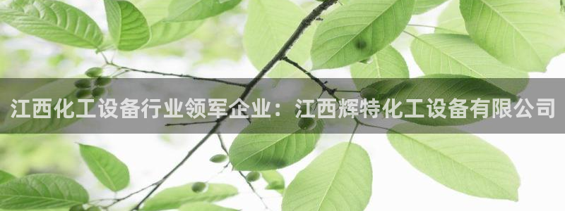 新宝gg登录不上去了