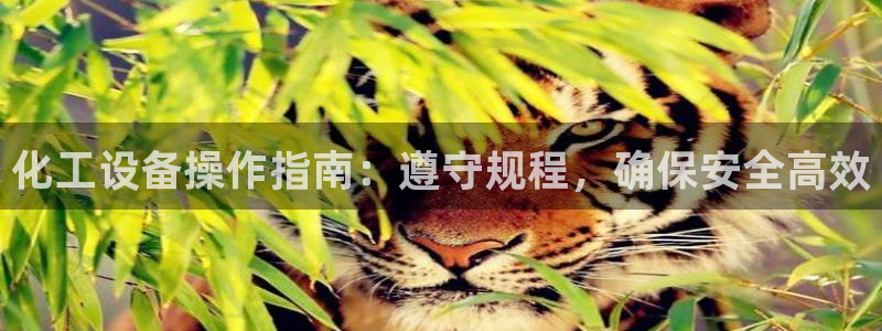 新宝gg—创造奇迹代理注册
