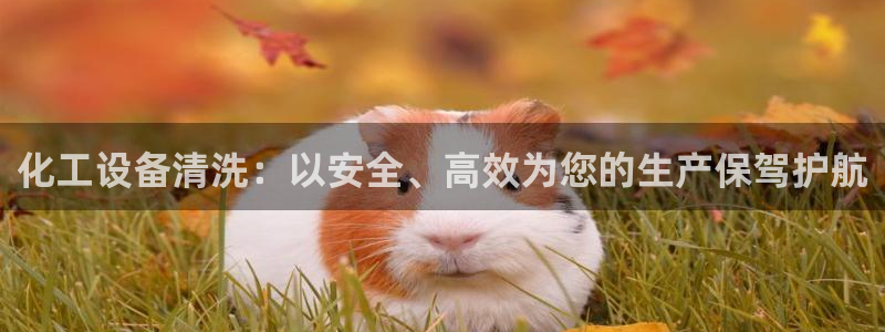 新宝gg创造奇迹平台登录入口