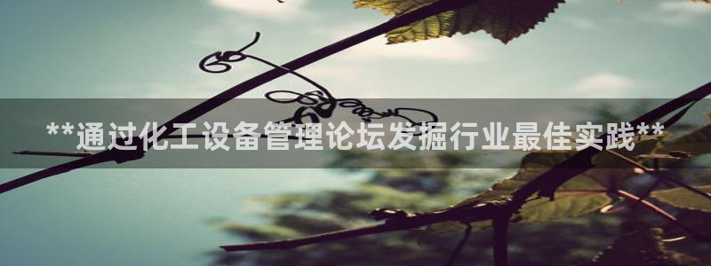 新宝gg创造奇迹为什么登录不了了
