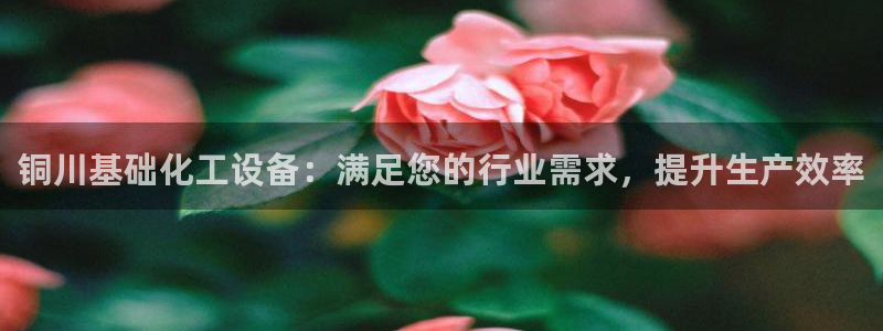新宝测速gg