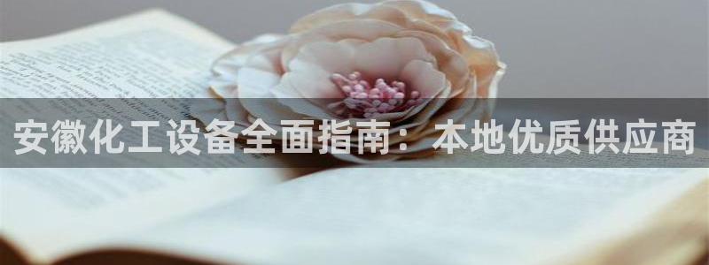 新宝GG平台负责人