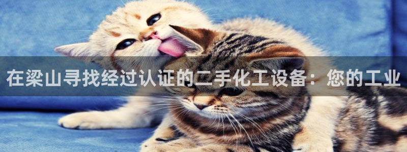 新宝gg创造奇迹登录入口