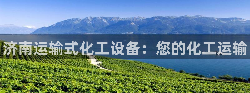 新宝gg平台登录手机版
