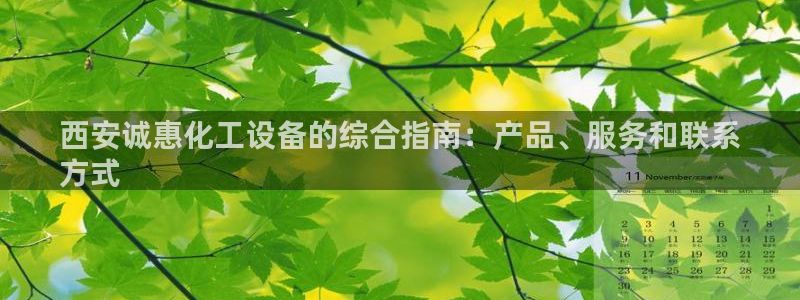 新宝gg最新更新内容与历史回顾