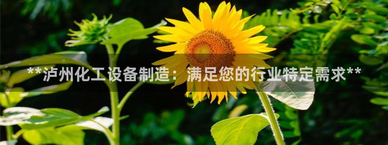 新宝gg一创造奇迹登陆