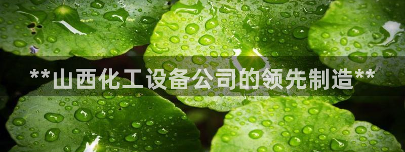 新宝GG平台招商