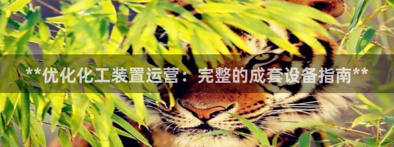 新宝gg奇迹登录怎么登录不了