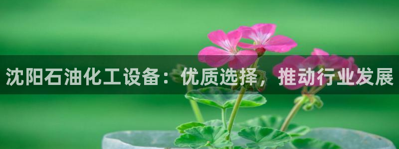新宝GG创造奇迹客服怎么联系