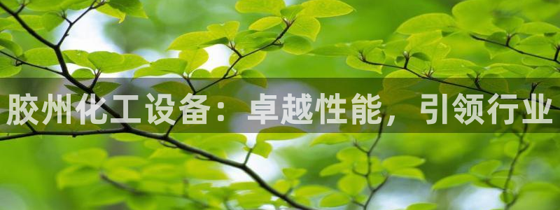 新宝gg最简单登录方法