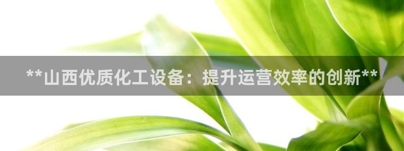 新宝gg5一创造奇迹代理