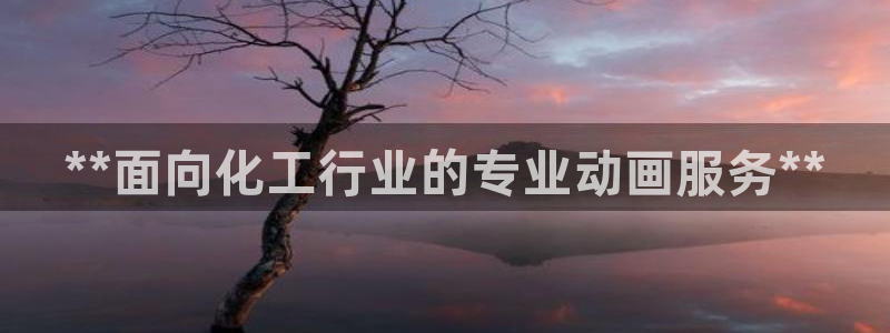新宝测速gg