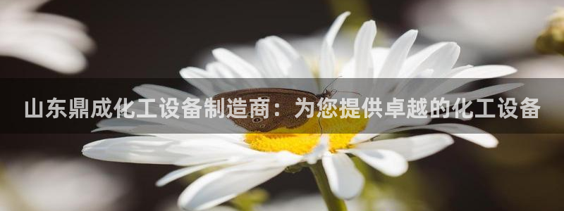 新宝gg奇迹登录