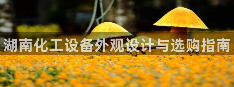 新宝gg注册登录账号