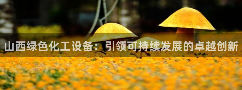 新宝gg一创造奇迹代理测速