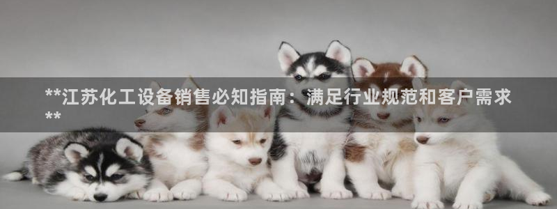 新宝gg创造奇迹登录首页