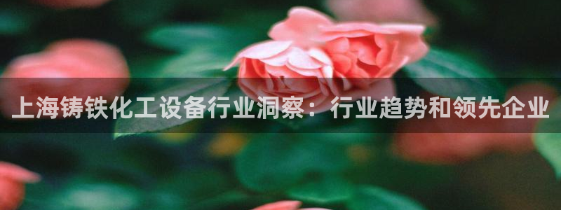 新宝GG平台招商
