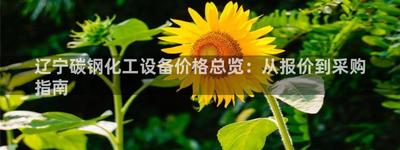 新宝gg账号注册平台