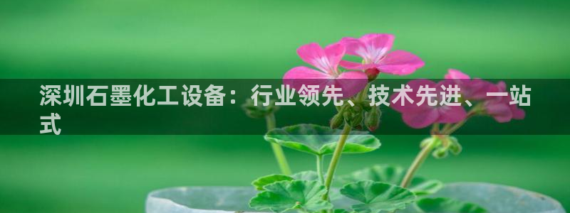新宝gg平台