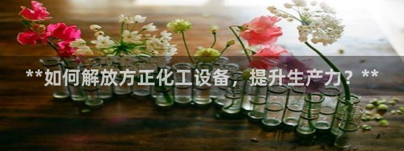 新宝gg一创造奇迹代理测速