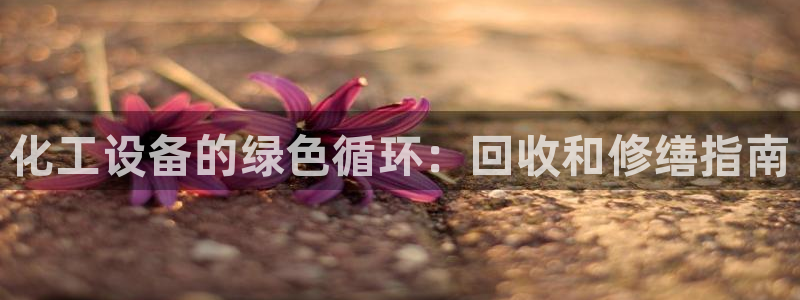 新宝gg怎么登录不了了