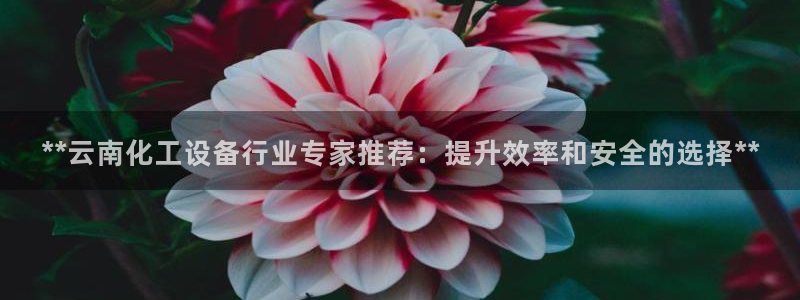 新宝gg平台注册登录指南
